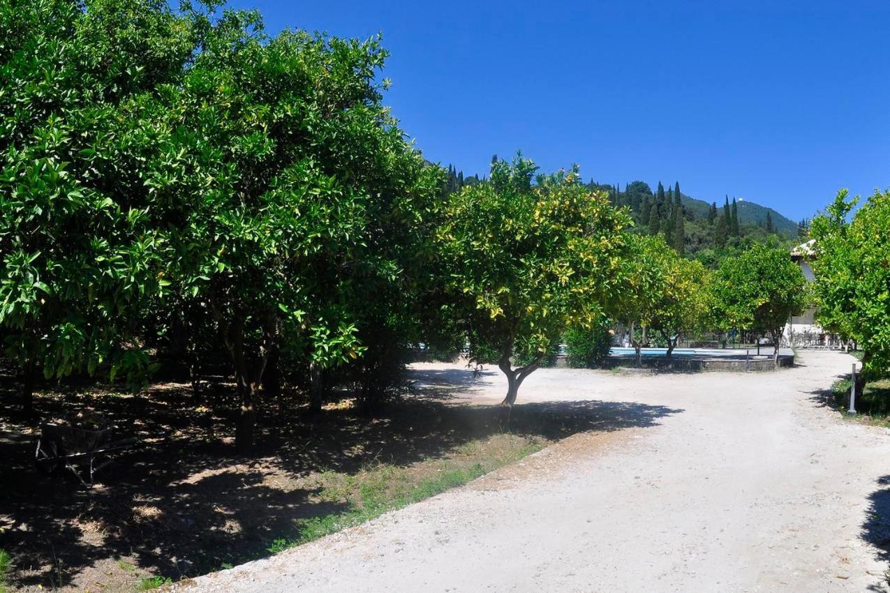 Orange Grove Suites Benitses  Bagian luar foto