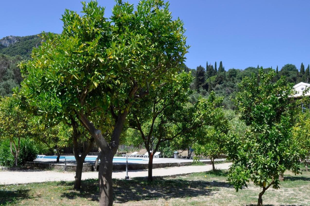 Orange Grove Suites Benitses  Bagian luar foto