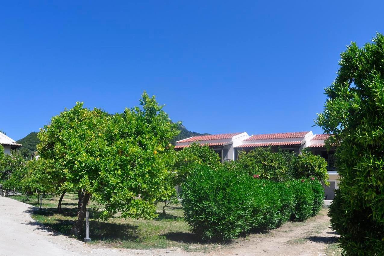 Orange Grove Suites Benitses  Bagian luar foto
