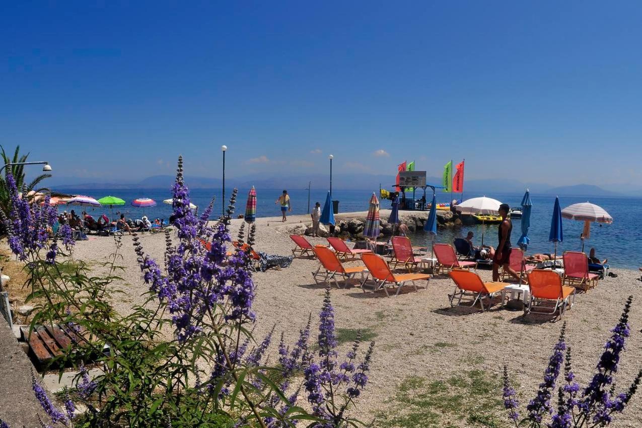 Orange Grove Suites Benitses  Bagian luar foto